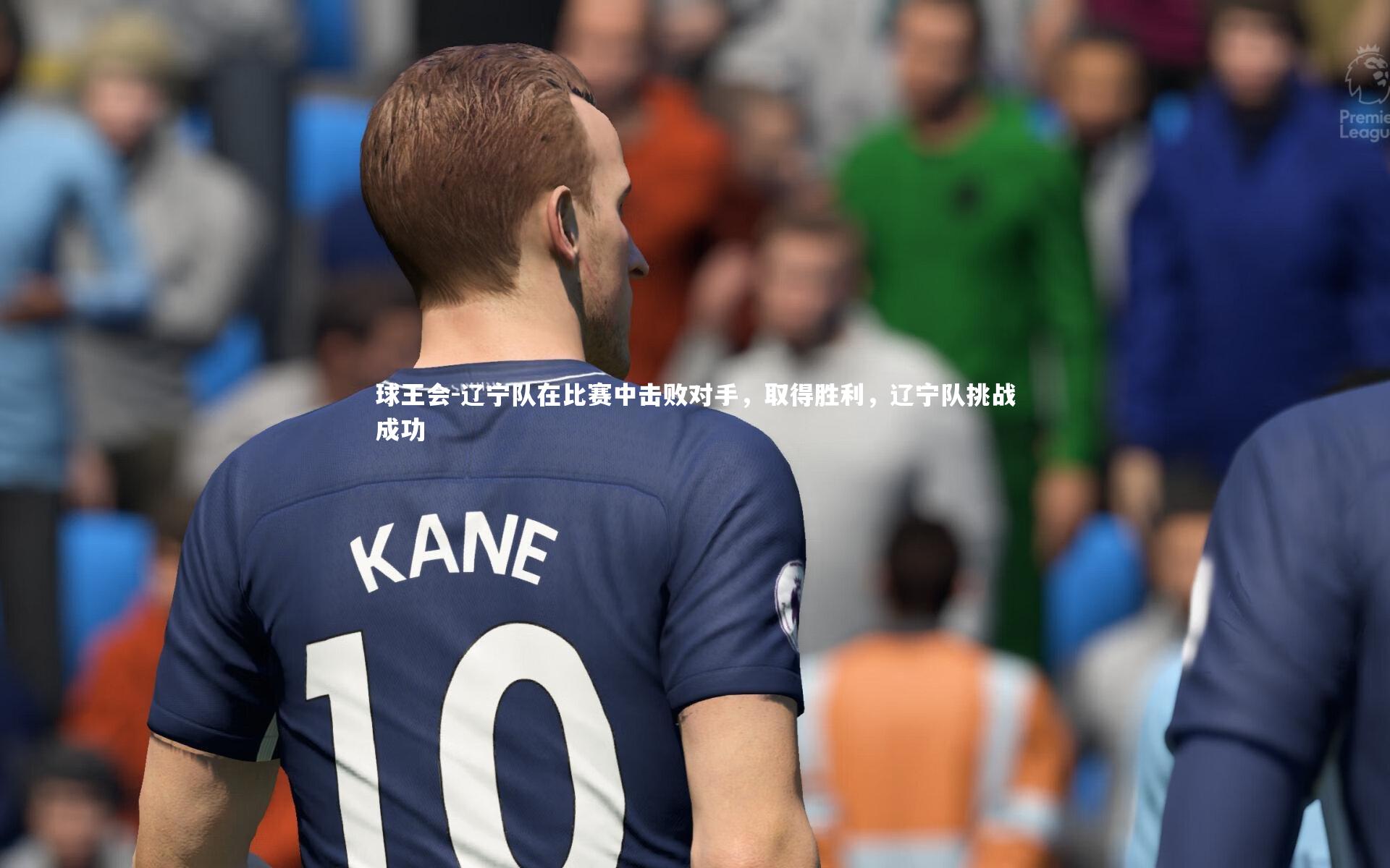 辽宁队在比赛中击败对手，取得胜利，辽宁队挑战成功