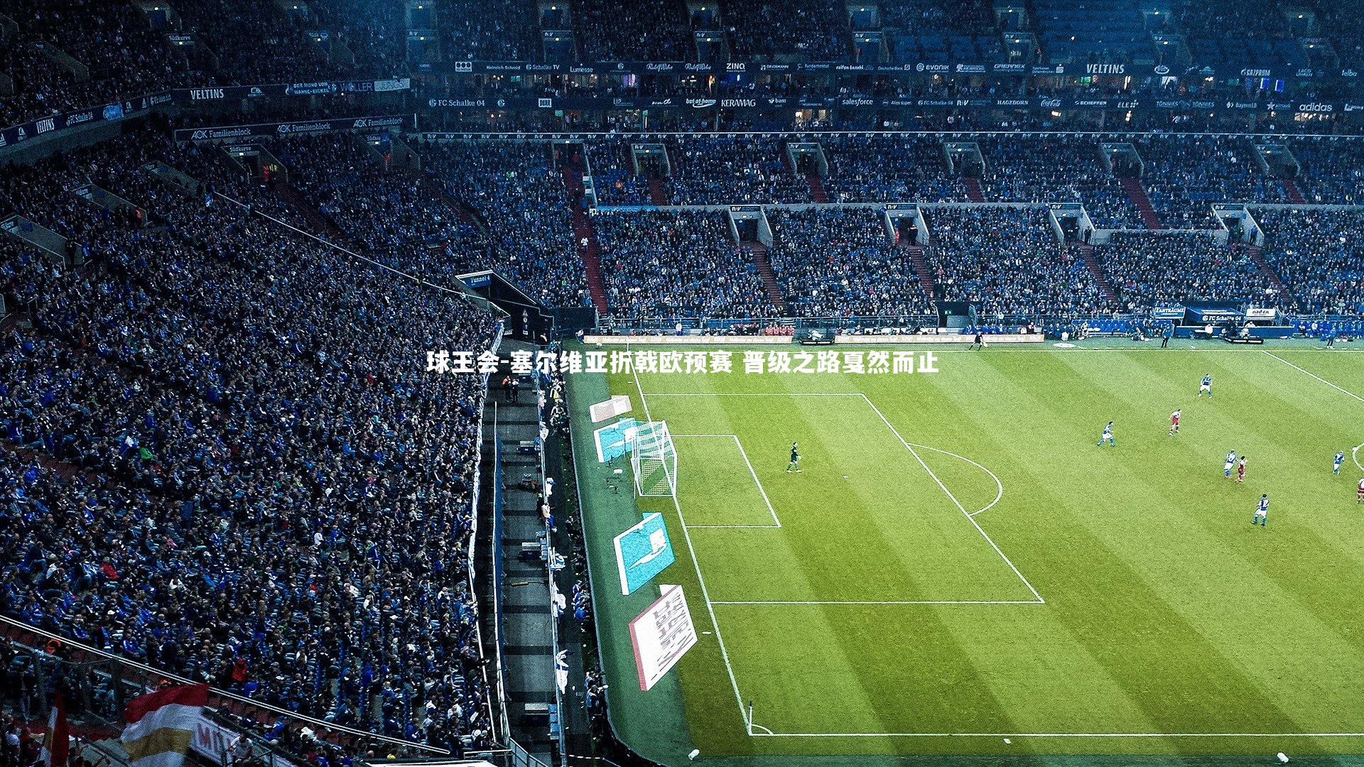 塞尔维亚折戟欧预赛 晋级之路戛然而止