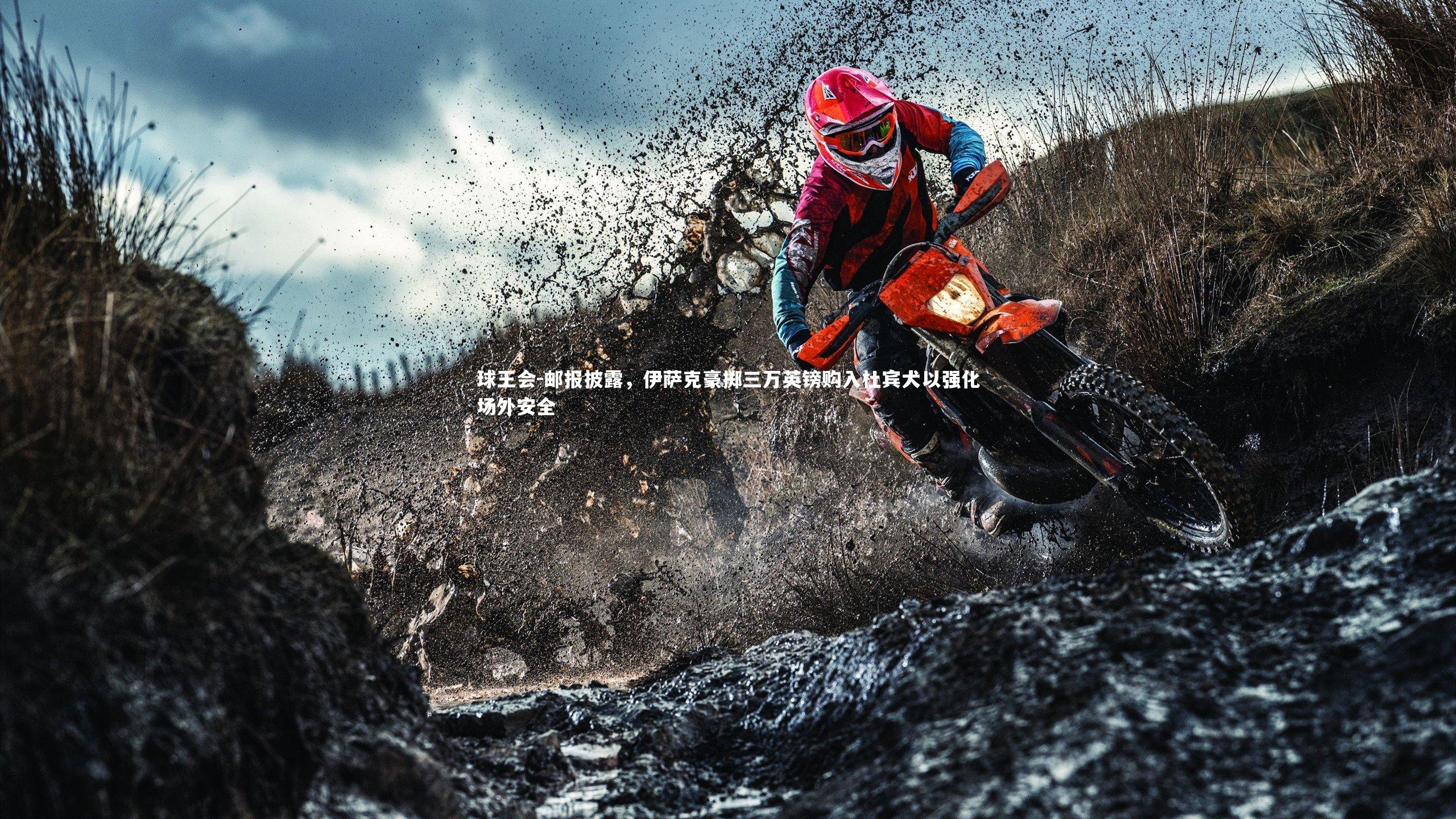 邮报披露，伊萨克豪掷三万英镑购入杜宾犬以强化场外安全