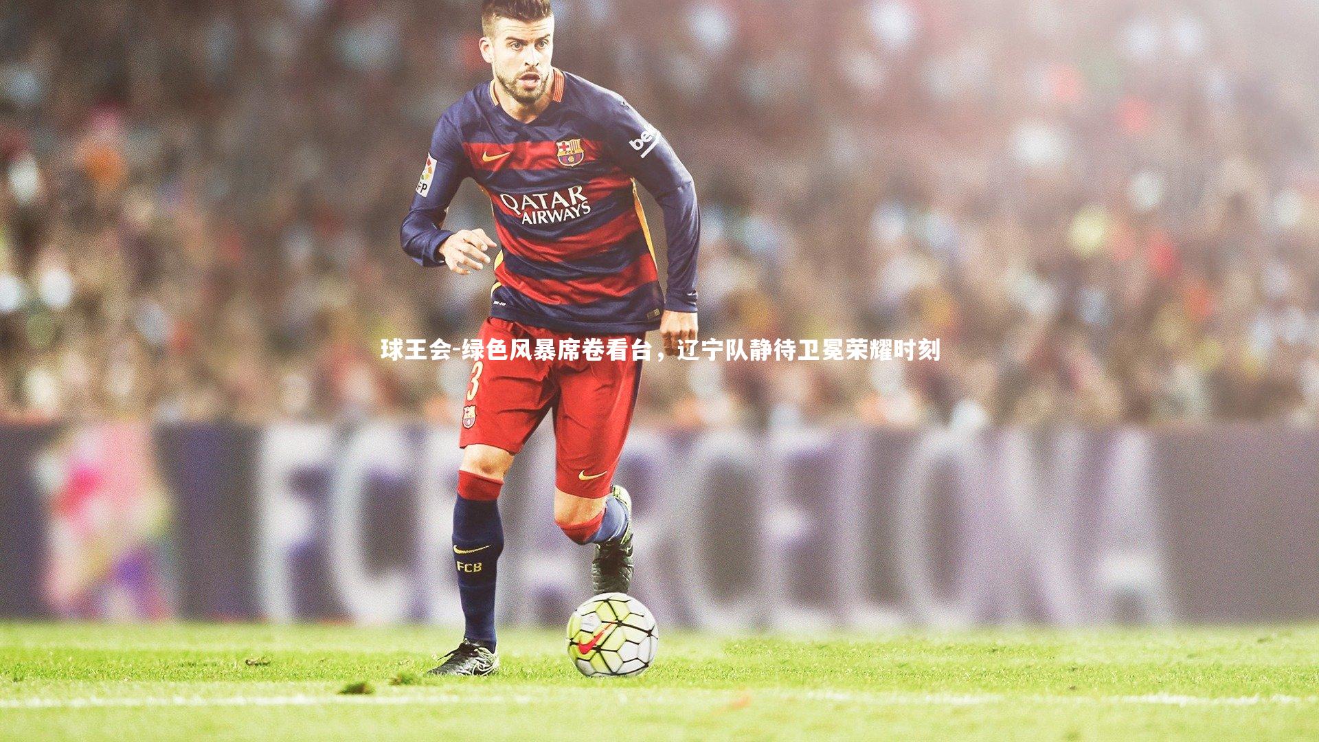 绿色风暴席卷看台，辽宁队静待卫冕荣耀时刻